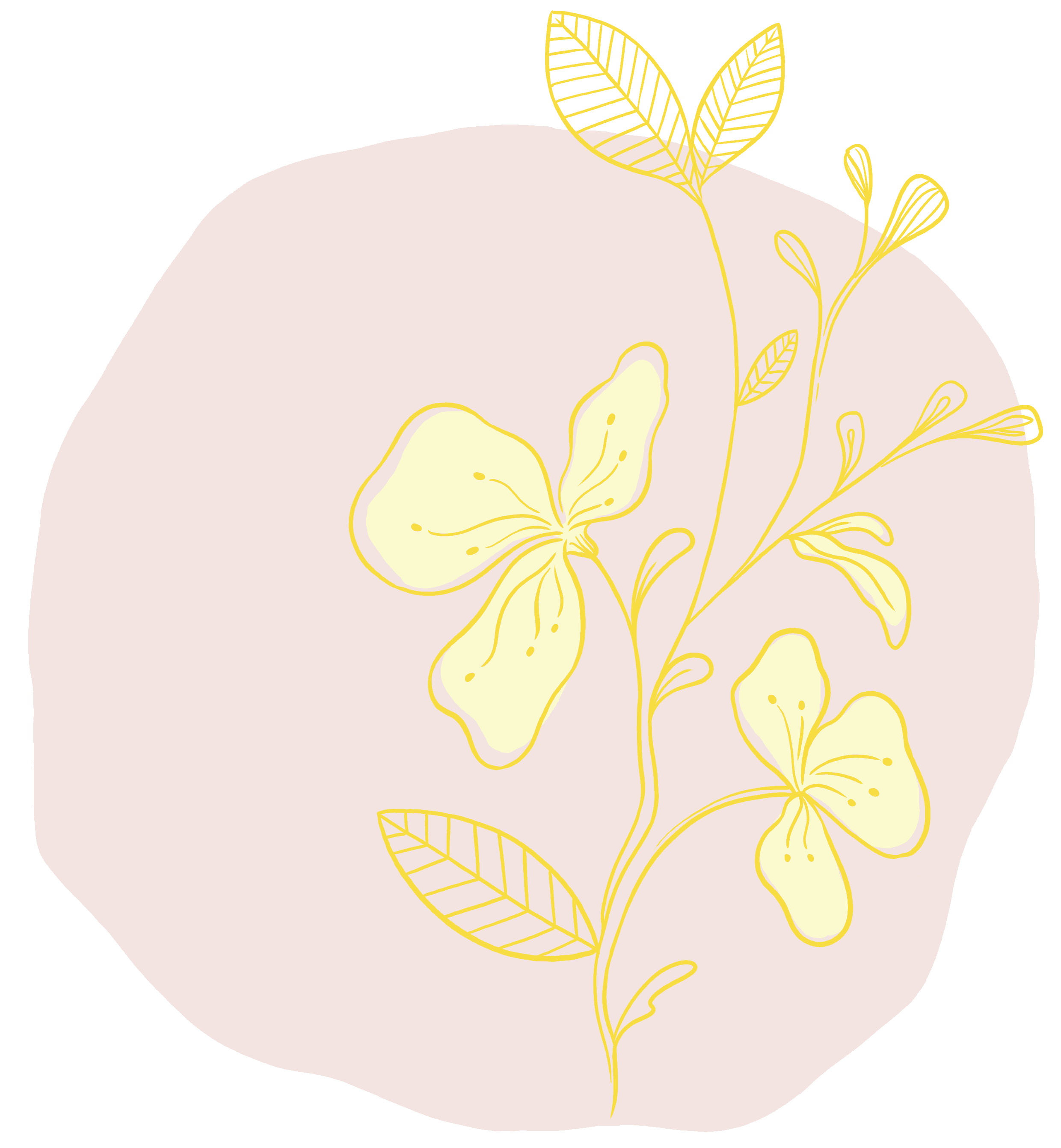 flower-circle-03
