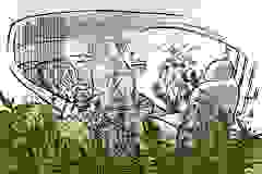 Lena_Illu_03_v02_color